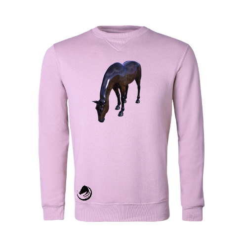 RIDE Sweaters for men and ladies.