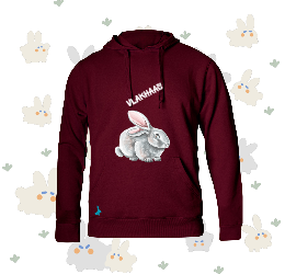 Kids Bunny Hoodie C